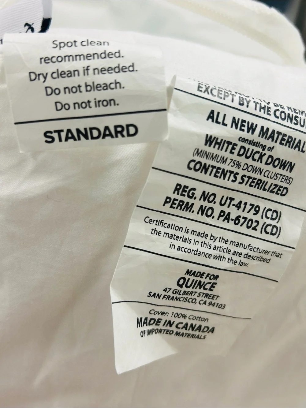 QUINCE Premium Down Pillow Standard Medium 4214